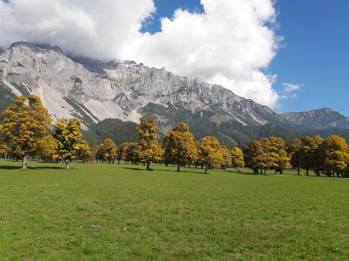 Appartement "Haus Lisa" In Ramsau Am Dachstein Buitenkant foto